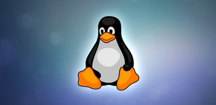 Linux release roundup: Fedora 27 in EOL. Mint 19.1: disponibile la beta!