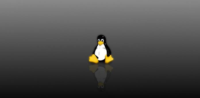[GUIDA] Ecco come cambiare Display Manager in Debian, Ubuntu o Mint