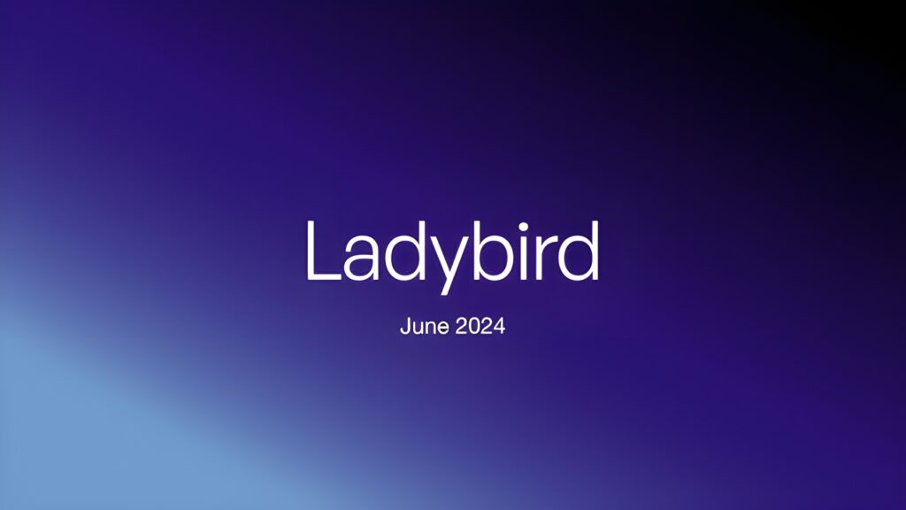 Iniziativa milionaria per il browser Ladybird