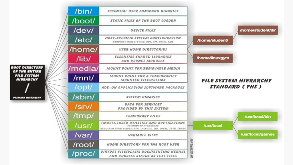 Cosa sono e quali sono i principali file system in Linux